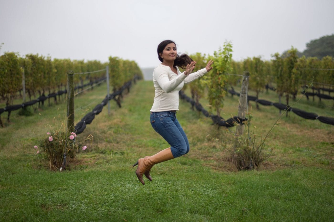 Wine Down in the North Fork