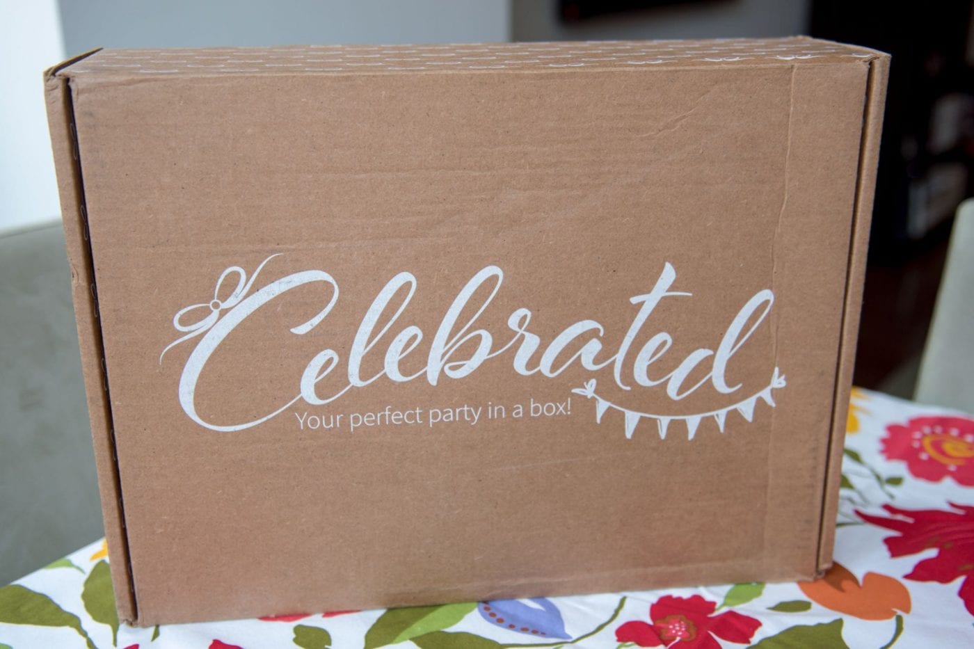 Party in a Box DSC 7777