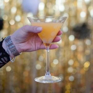 Mikasa Martini Glasses