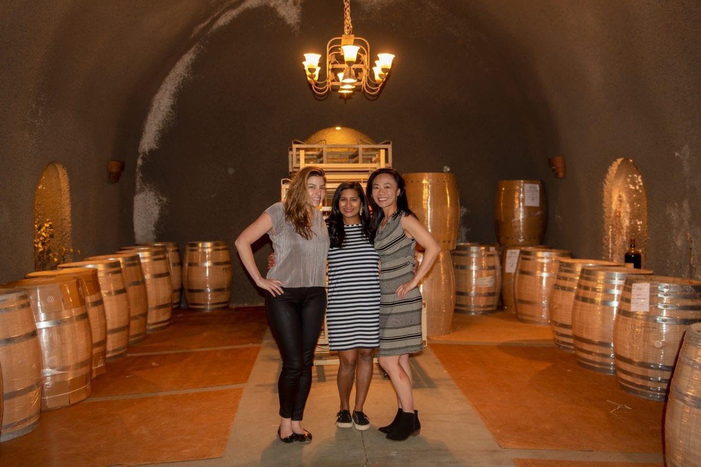 Wine Tasting Girls Trip in Carneros DSC 7397