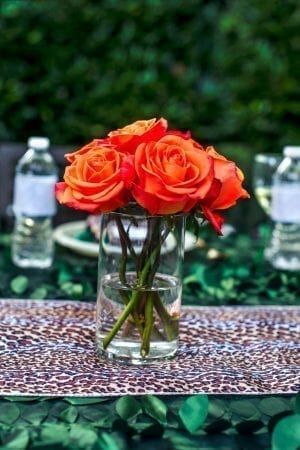 CV Linens Leopard Table Runner
