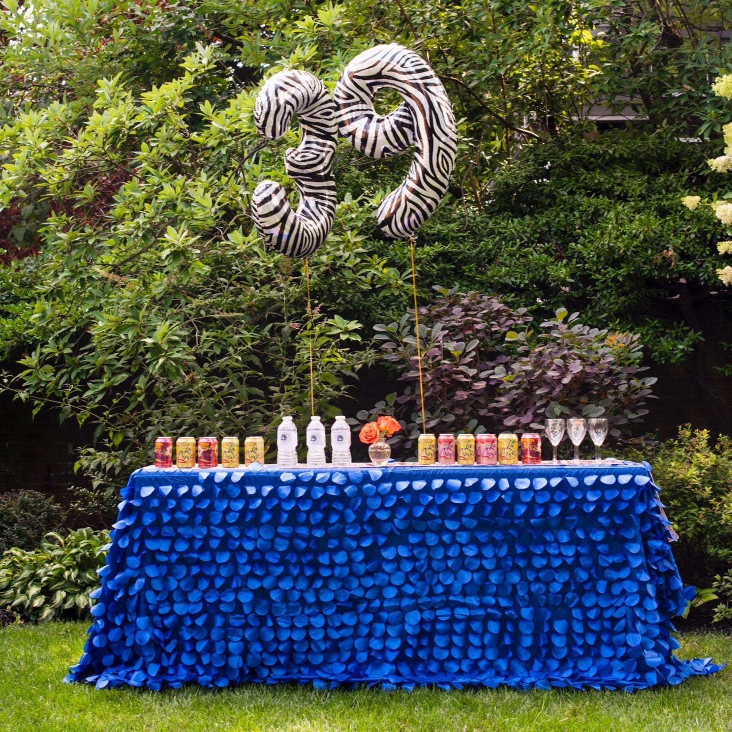 How to DIY a Chic Tiger King Party? DSC 1786