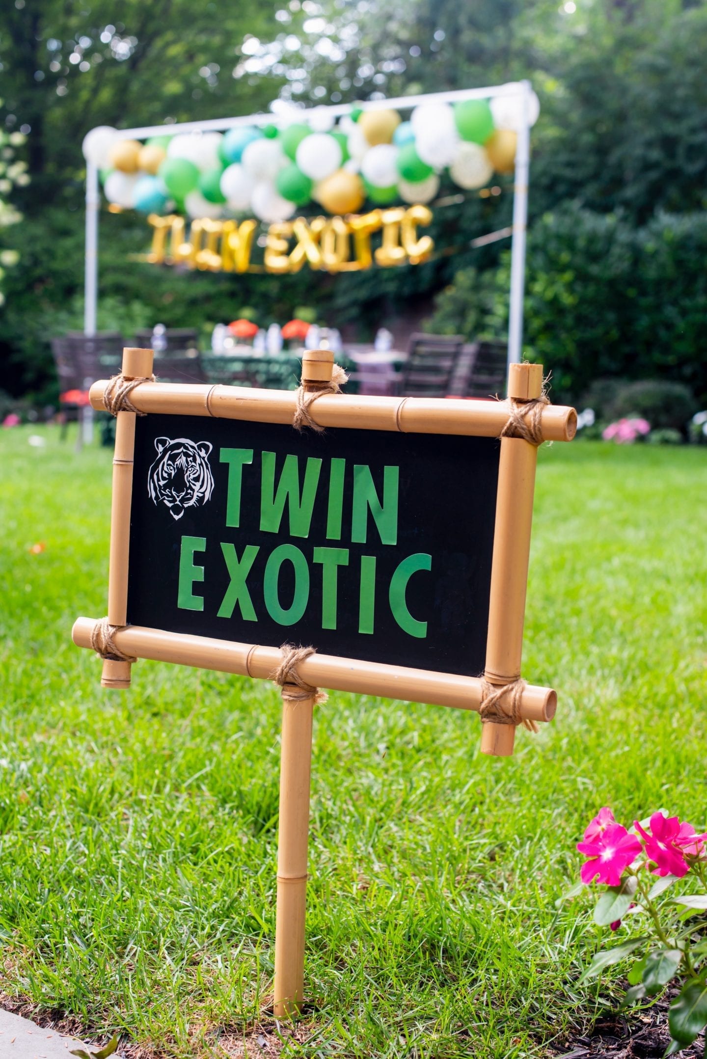 How to DIY a Chic Tiger King Party? Tiger King Party