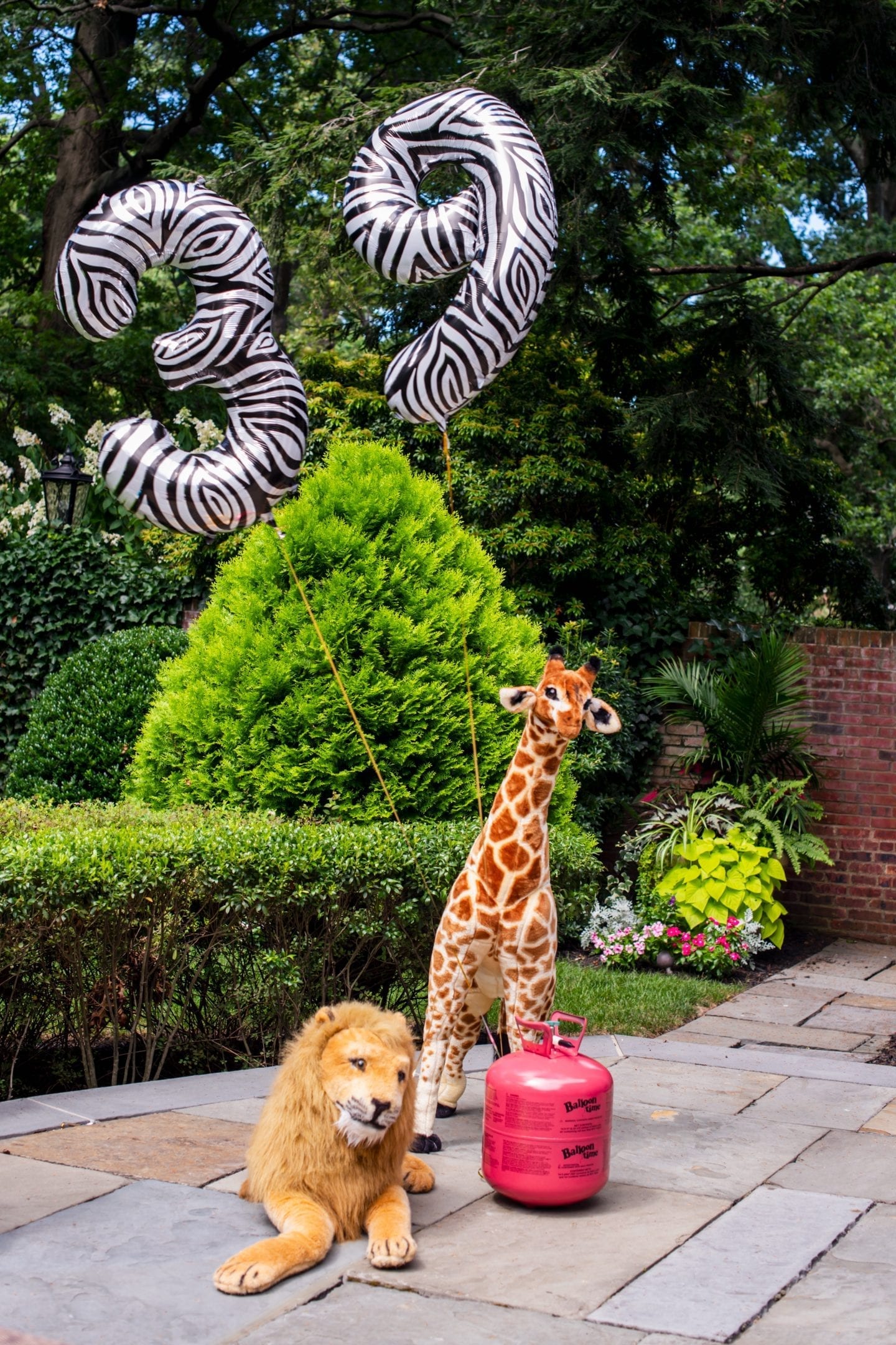How to DIY a Chic Tiger King Party? DSC 2009