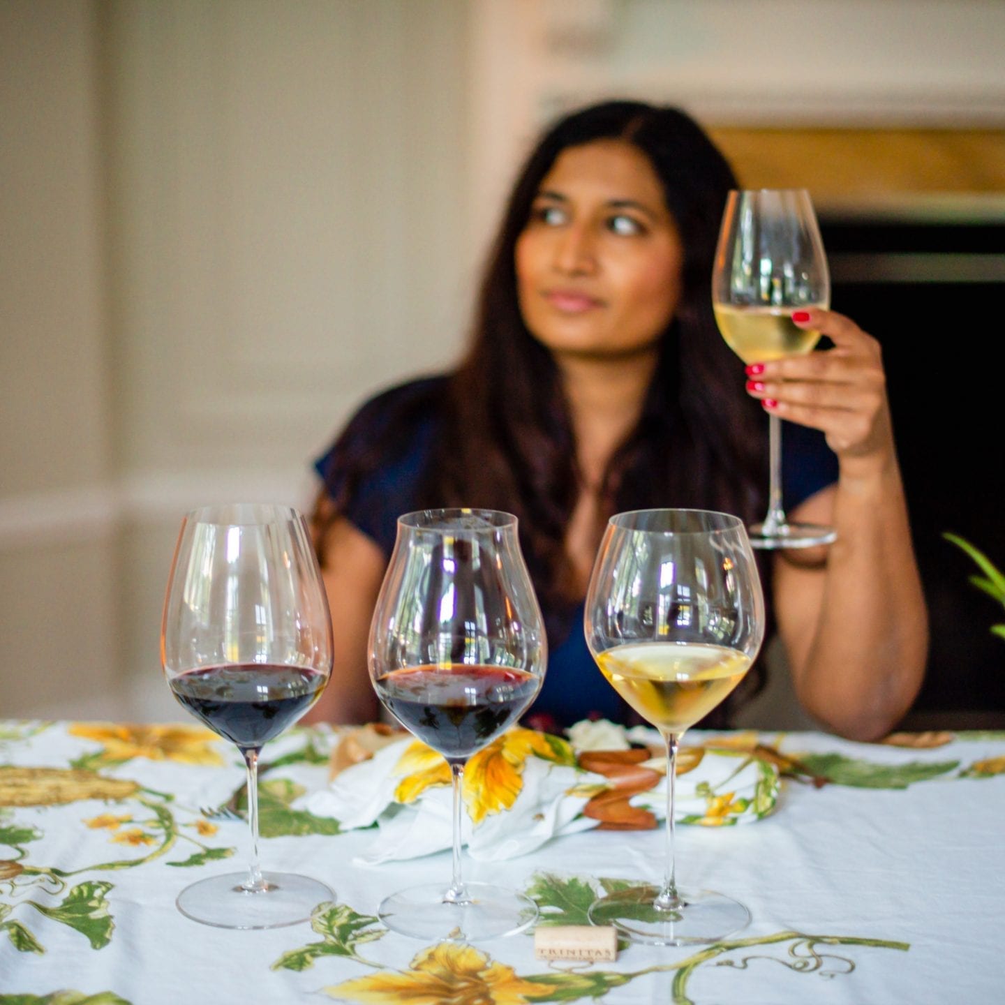 How to Host a Wine Tasting with Trinitas Cellars? DSC 3601
