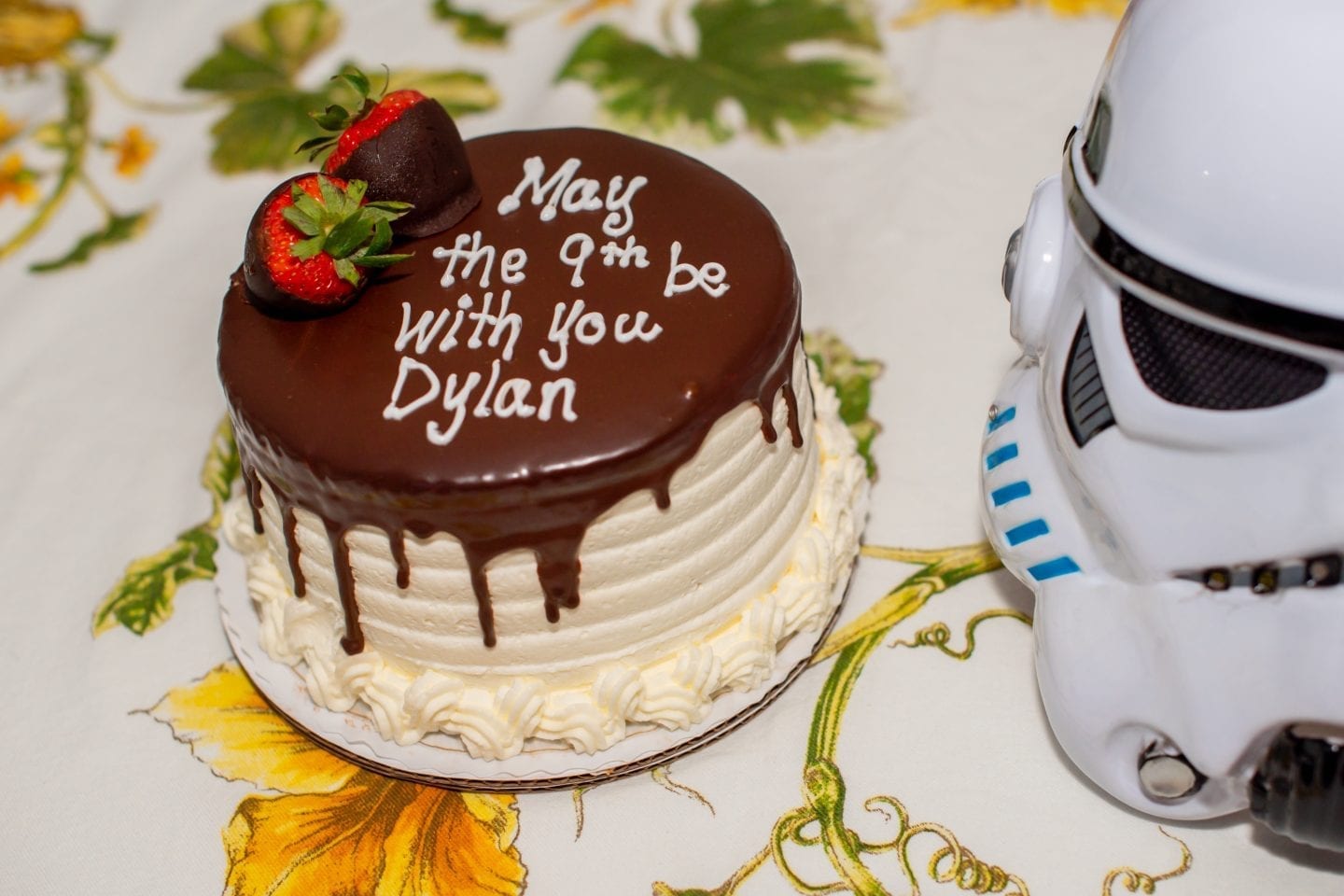 Get the Best Kids Costumes: Chasing Fireflies Birthday Cake