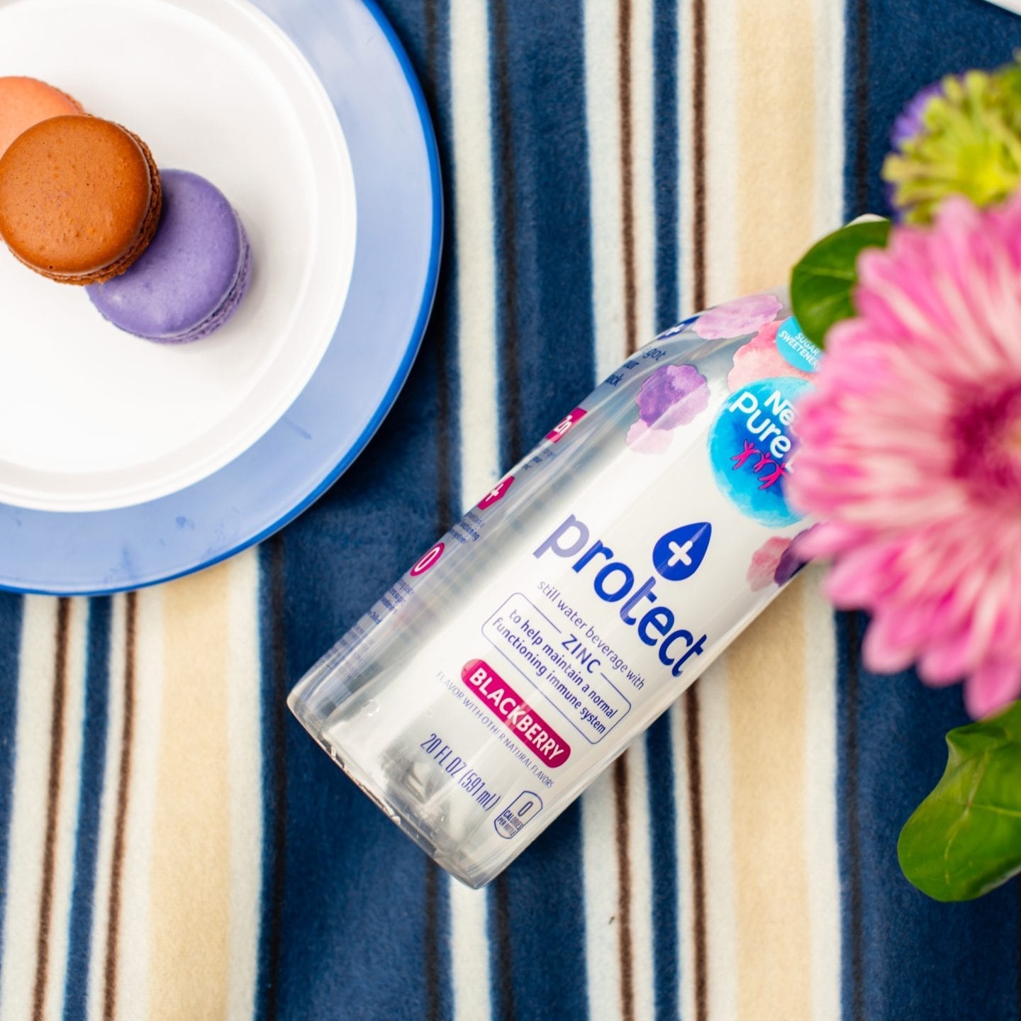 How to Host a Beautiful Picnic with Ready Refresh® DSC 6099