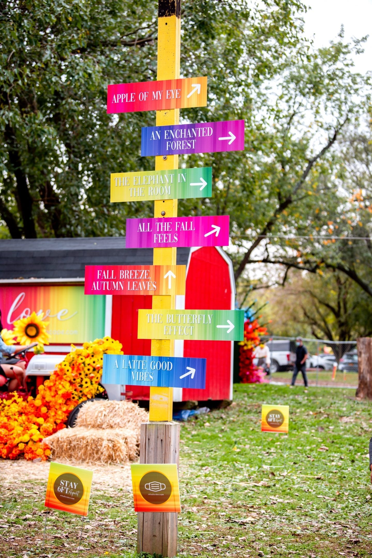 How to Enjoy Fall at The Floral Escape in NYC? DSC 8730