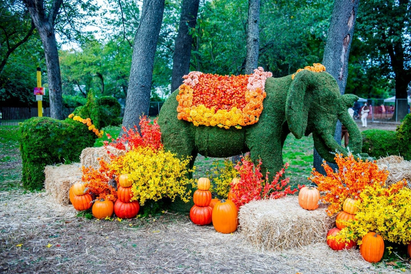 How to Enjoy Fall at The Floral Escape in NYC? DSC 8959