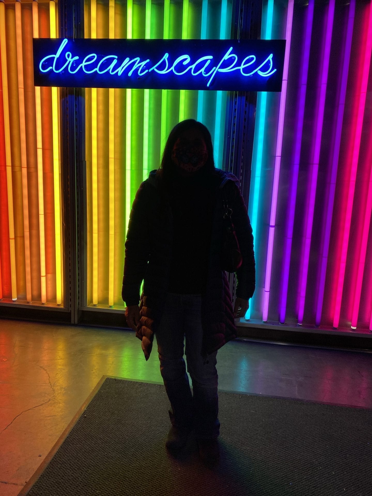 Dreamscapes in Salt Lake City