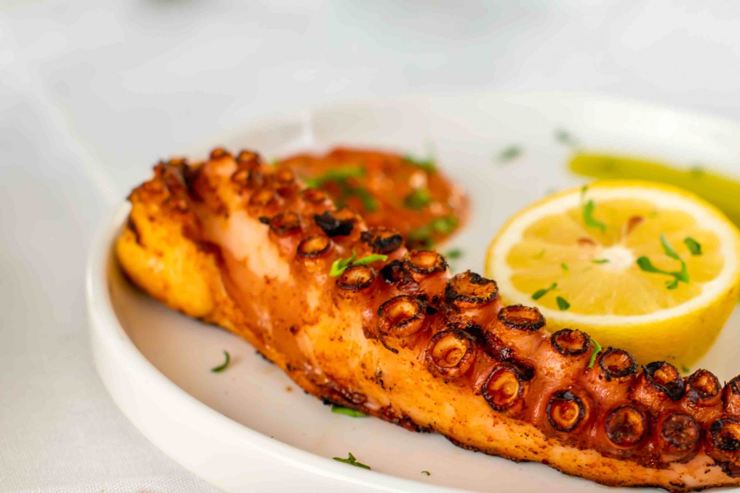 The Best Battery Park Restaurants in 2021: Merchants River House Best Battery Park Restaurants in 2021. Merchants River House - Octopus