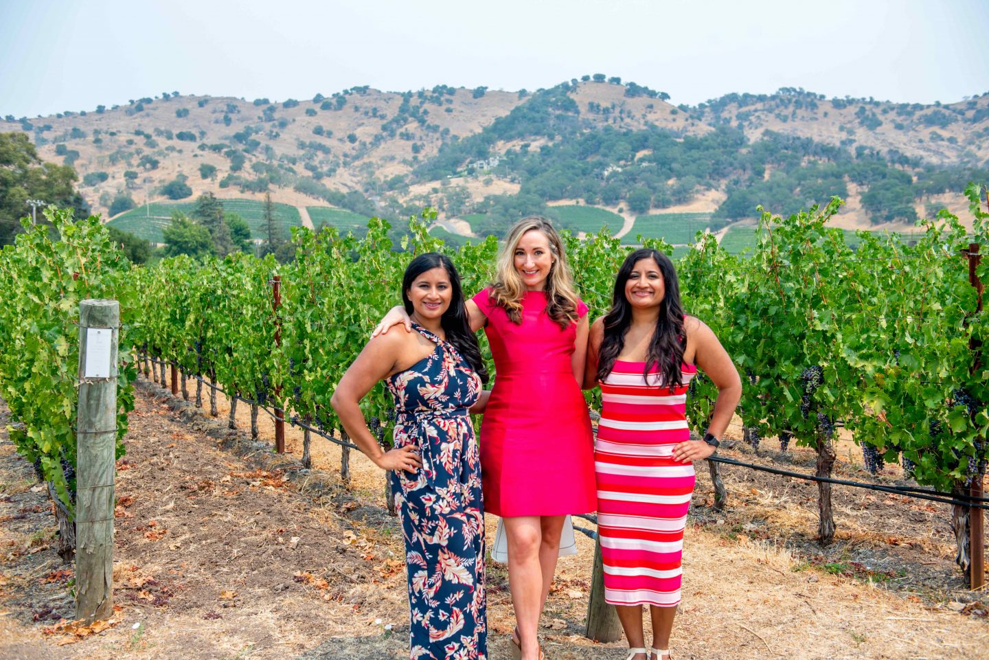 Cliff Lede Vineyard. Best Napa Trip 