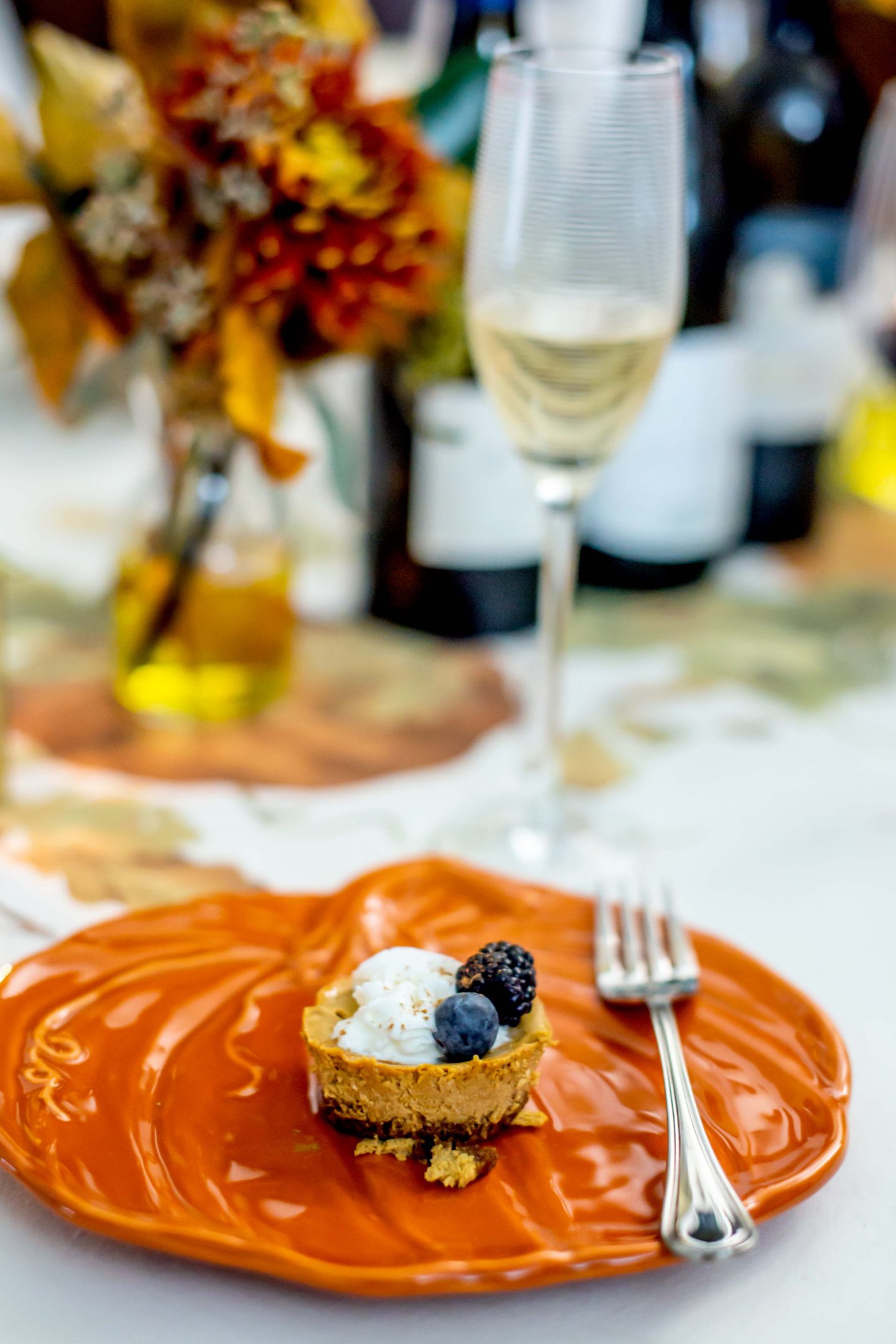 The Best WineText Review in 2021: Thanksgiving Ideas DSC 0314