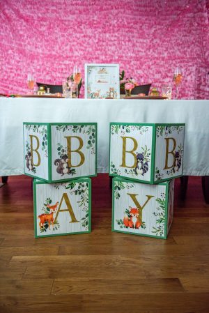 Kate Aspen Woodland Baby Block Box Set