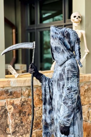 The Best Chasing Fireflies Halloween Costumes Review in 2022