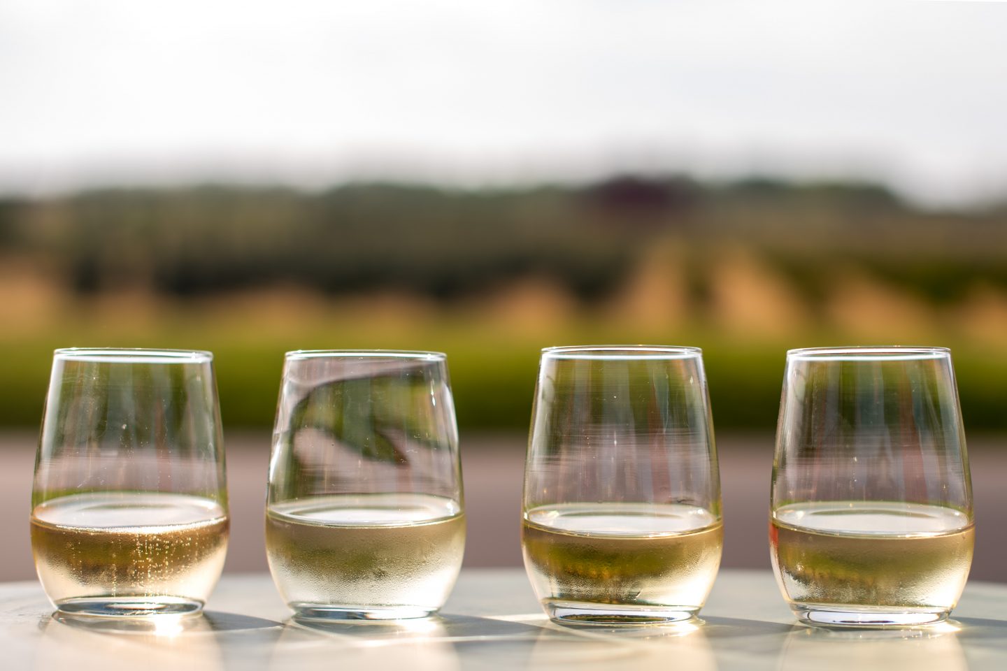 Explore 8 of the Best North Fork Wineries This Summer North Fork Wineries. Lieb Cellars.