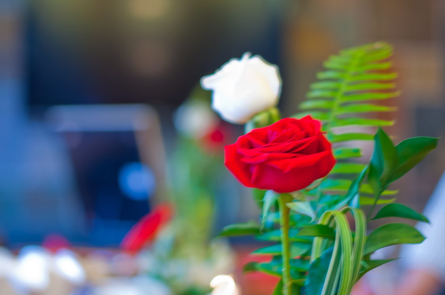 Fire and Ice Theme Party Ideas. Red and white party. Red and white flowers. 