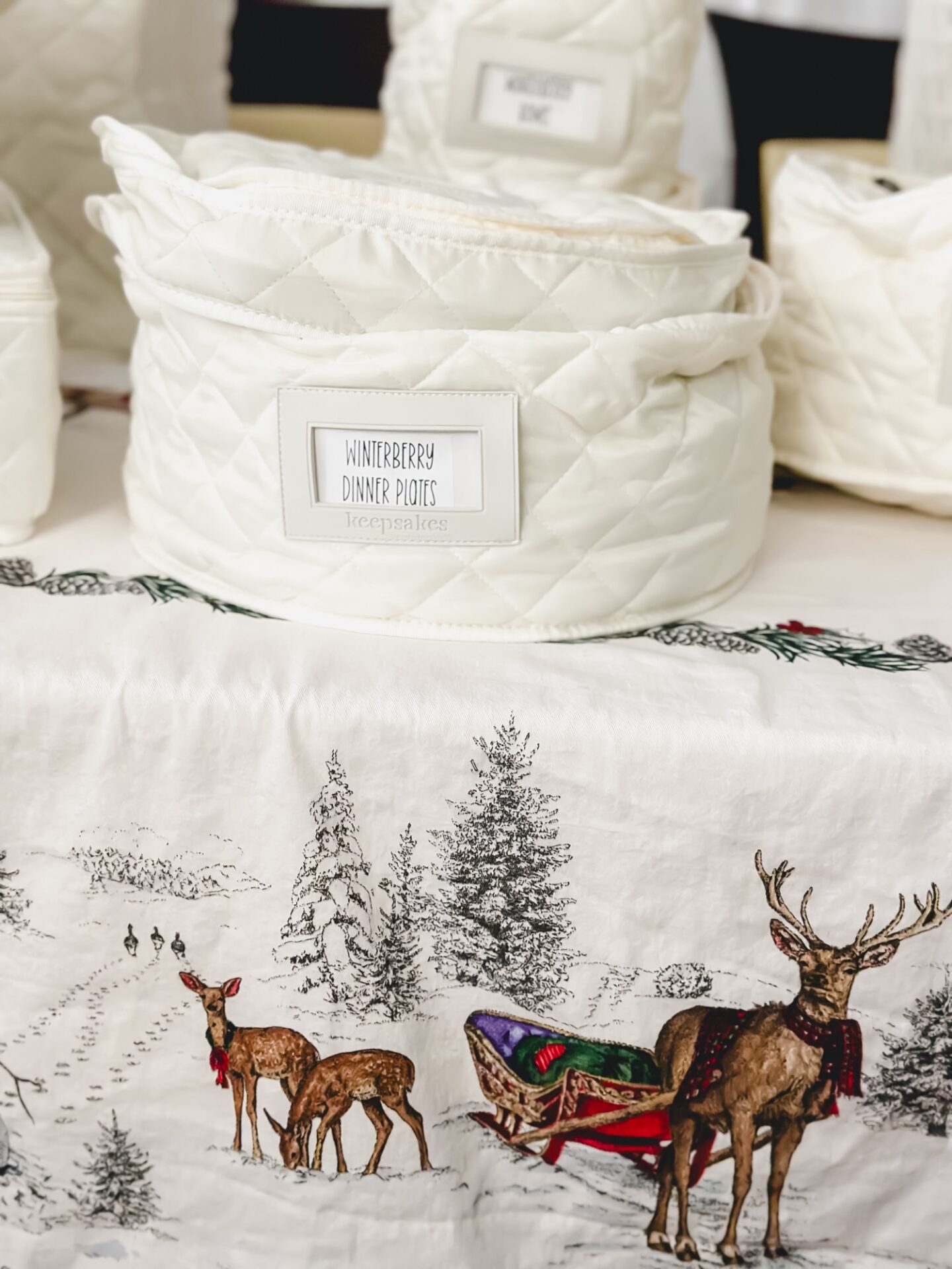 Coverstore Reviews. Keepsake Dish Storage Solutions.