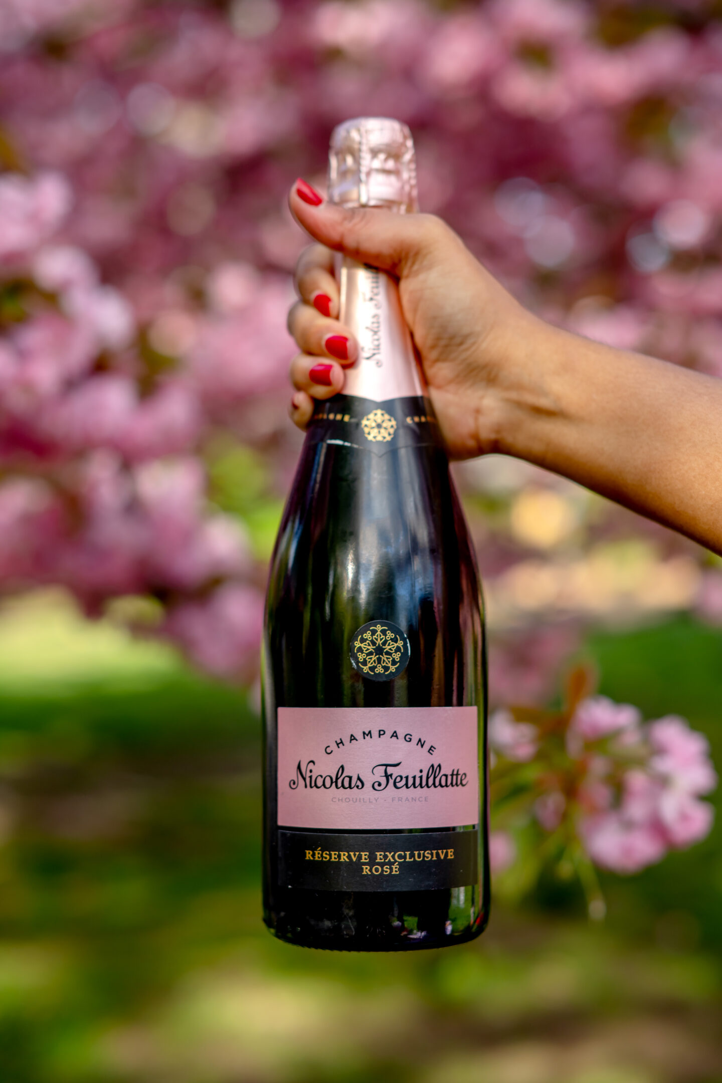 Picnic Food Ideas. Perfect Pink Picnic Party. Central Park. Bridle Path Picnic. Cherry Blossom Picnic. Nicolas Feuillatte. 