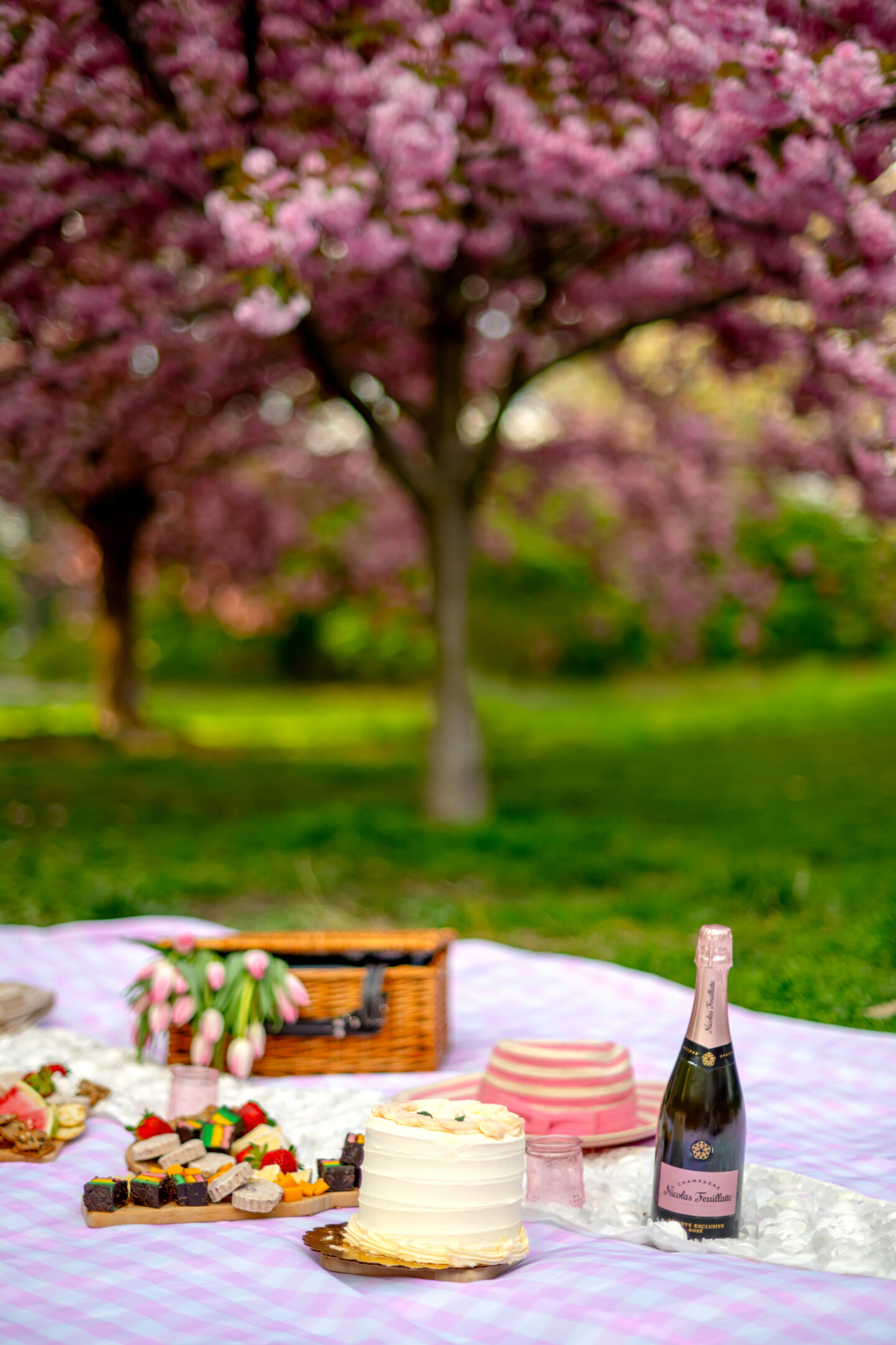 Picnic Food Ideas. Perfect Pink Picnic Party. Central Park. Bridle Path Picnic. Cherry Blossom Picnic. 