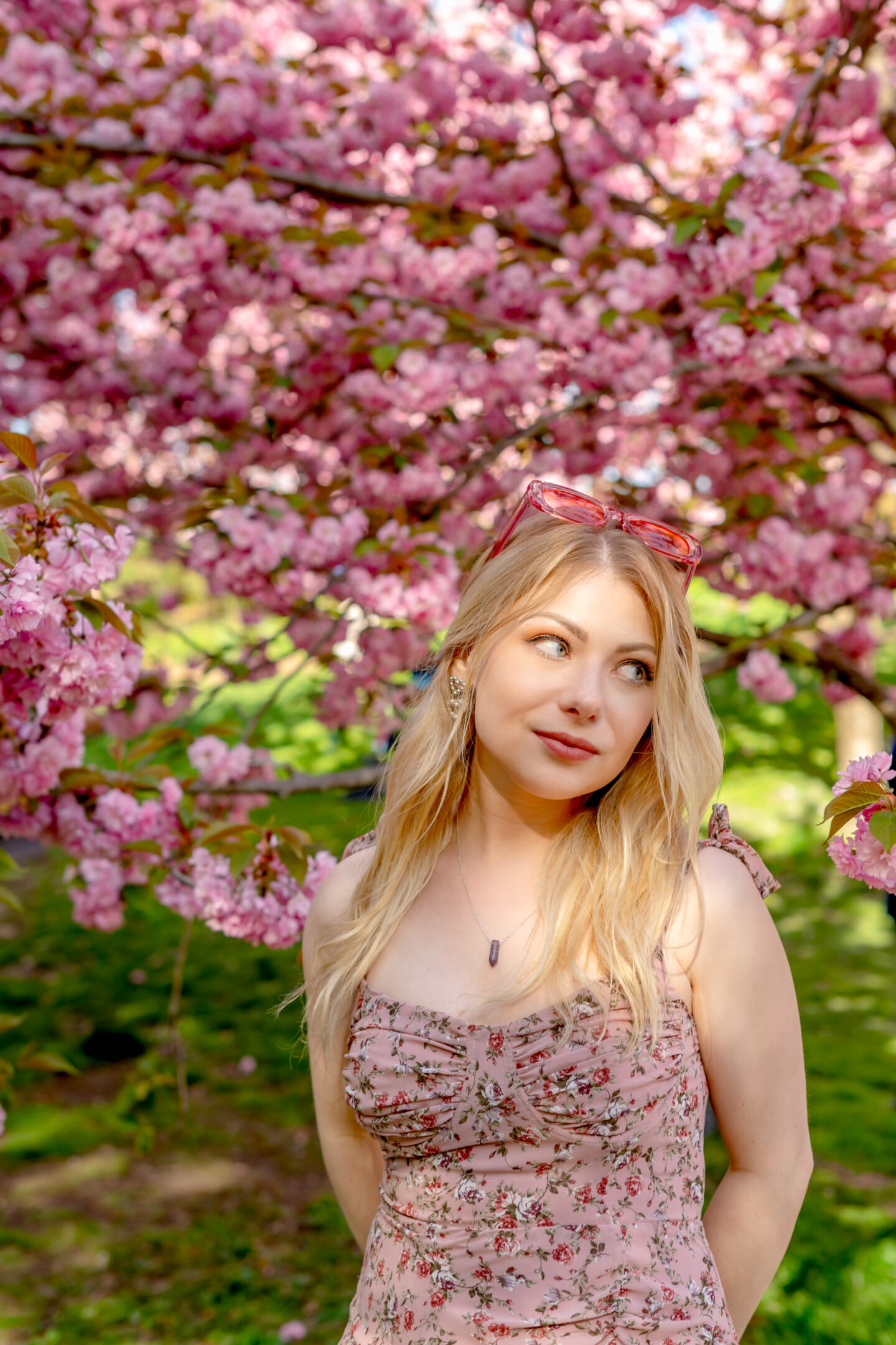 Picnic Food Ideas. Perfect Pink Picnic Party. Central Park. Bridle Path Picnic. Cherry Blossom Picnic. 