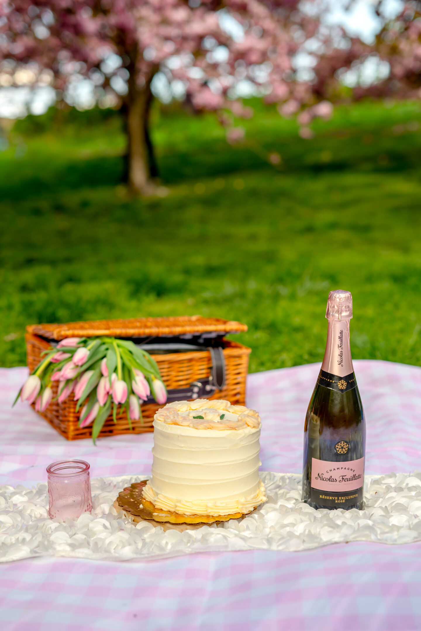 Picnic Food Ideas. Perfect Pink Picnic Party. Central Park. Bridle Path Picnic. Cherry Blossom Picnic. 