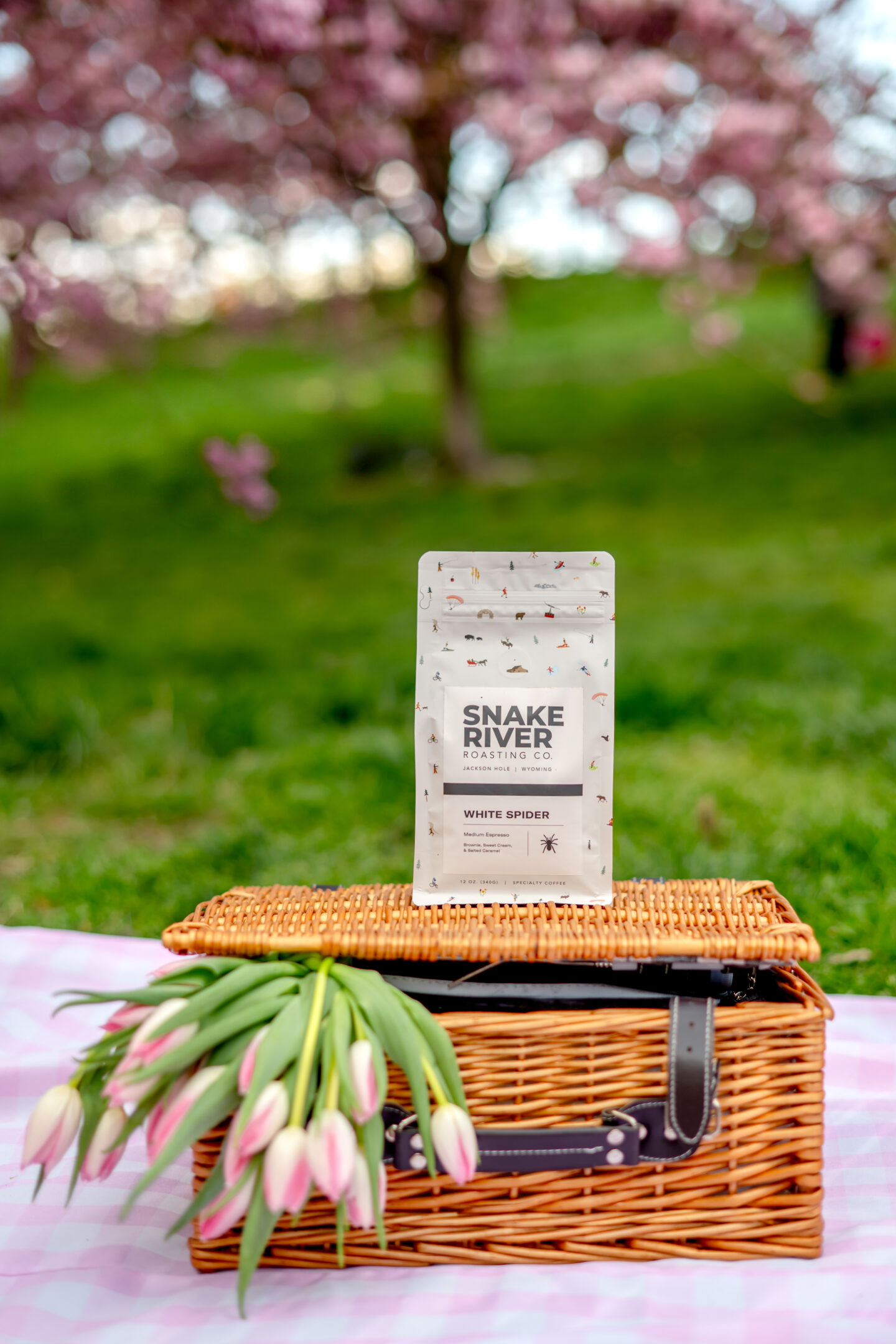 Elevate Your Coffee Game with Snake River Roasting Company: 7 Best Reasons to Switch Your Morning Brew Snake River Roasting Company review. Picnic in the park.