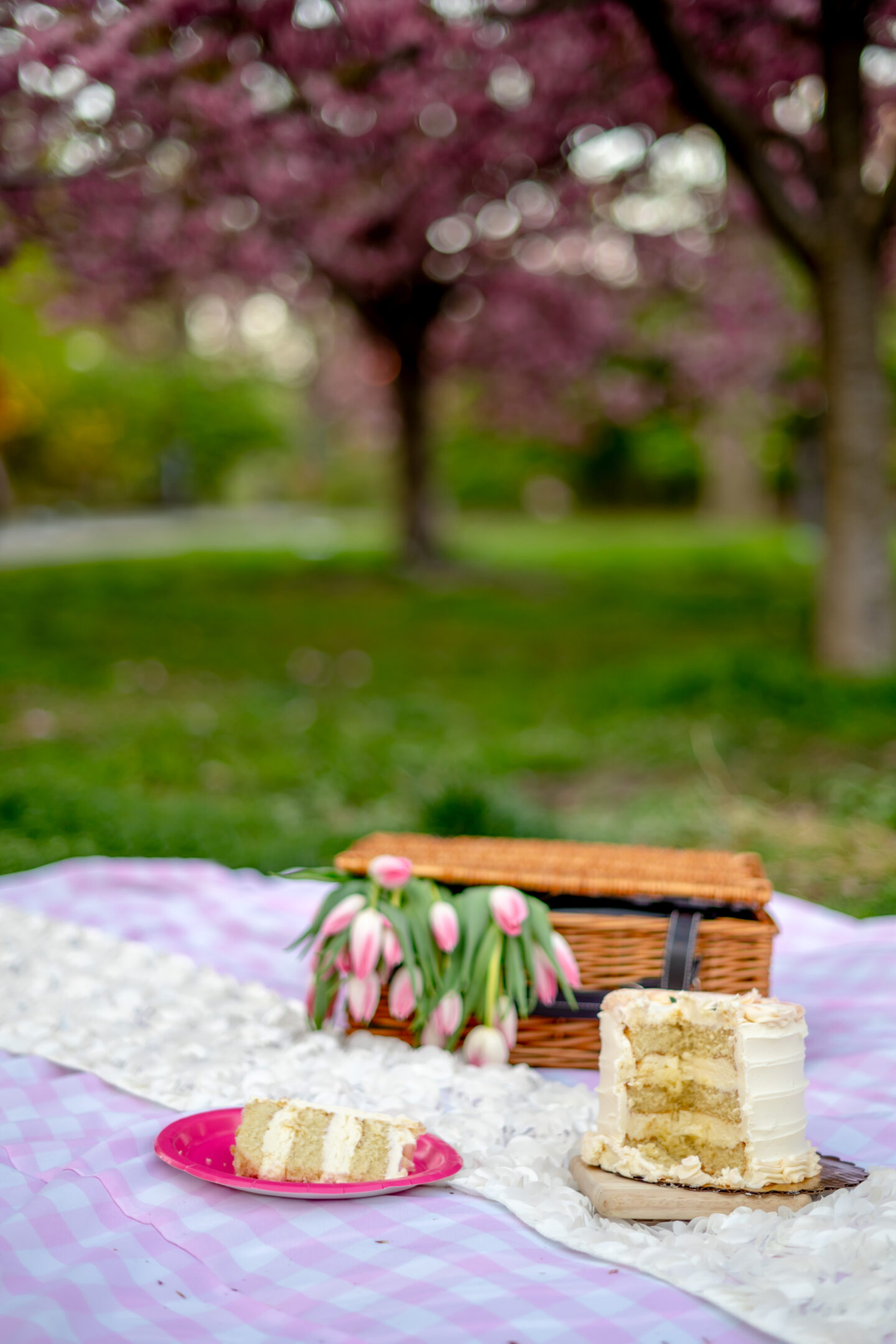 Picnic Food Ideas. Perfect Pink Picnic Party. Central Park. Bridle Path Picnic. Cherry Blossom Picnic. 