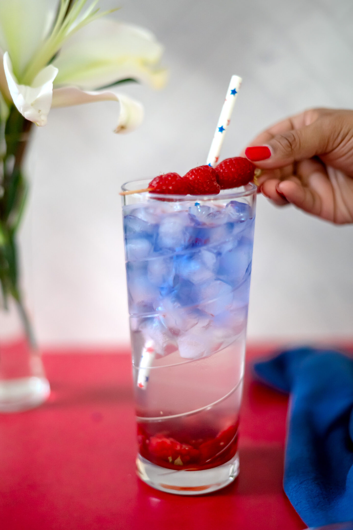 Red, White and Blue Cocktail. Memorial Day Cocktail. 