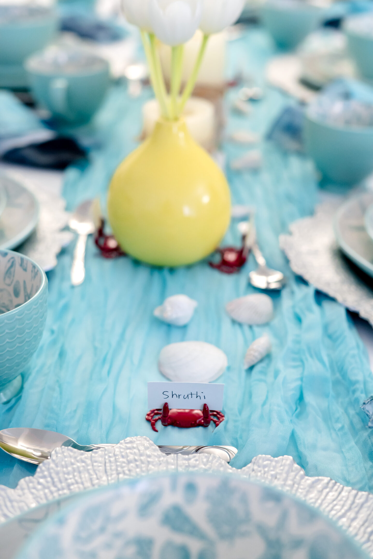 Nautical Theme Party Ideas. Pfaltzgraff Venice Collection. Nautical Tablescape.