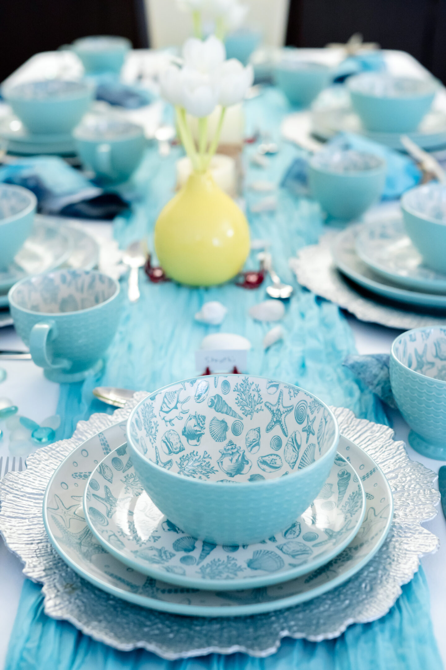 Nautical Theme Party Ideas. Pfaltzgraff Venice Collection. Nautical Tablescape.