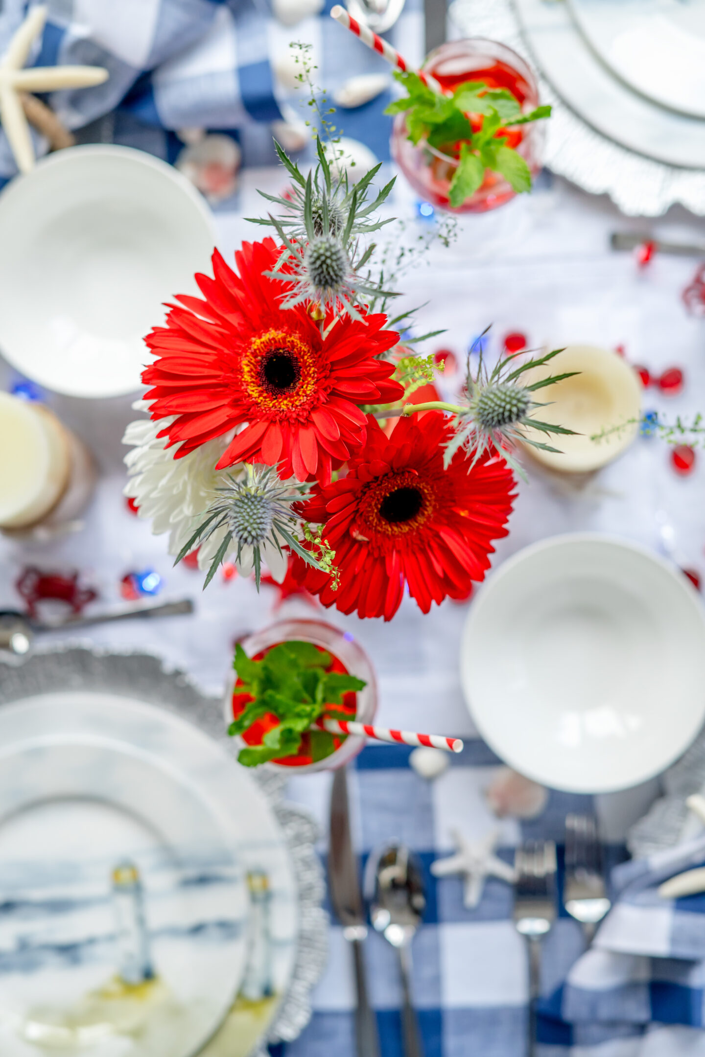 10 Gorgeous Nautical Theme Party Decor Ideas That Will Float Your Boat Nautical Theme Party Decor Ideas. Nautical Tablescape. Mikasa Seaside. Solino Home Buffalo Check Linens.