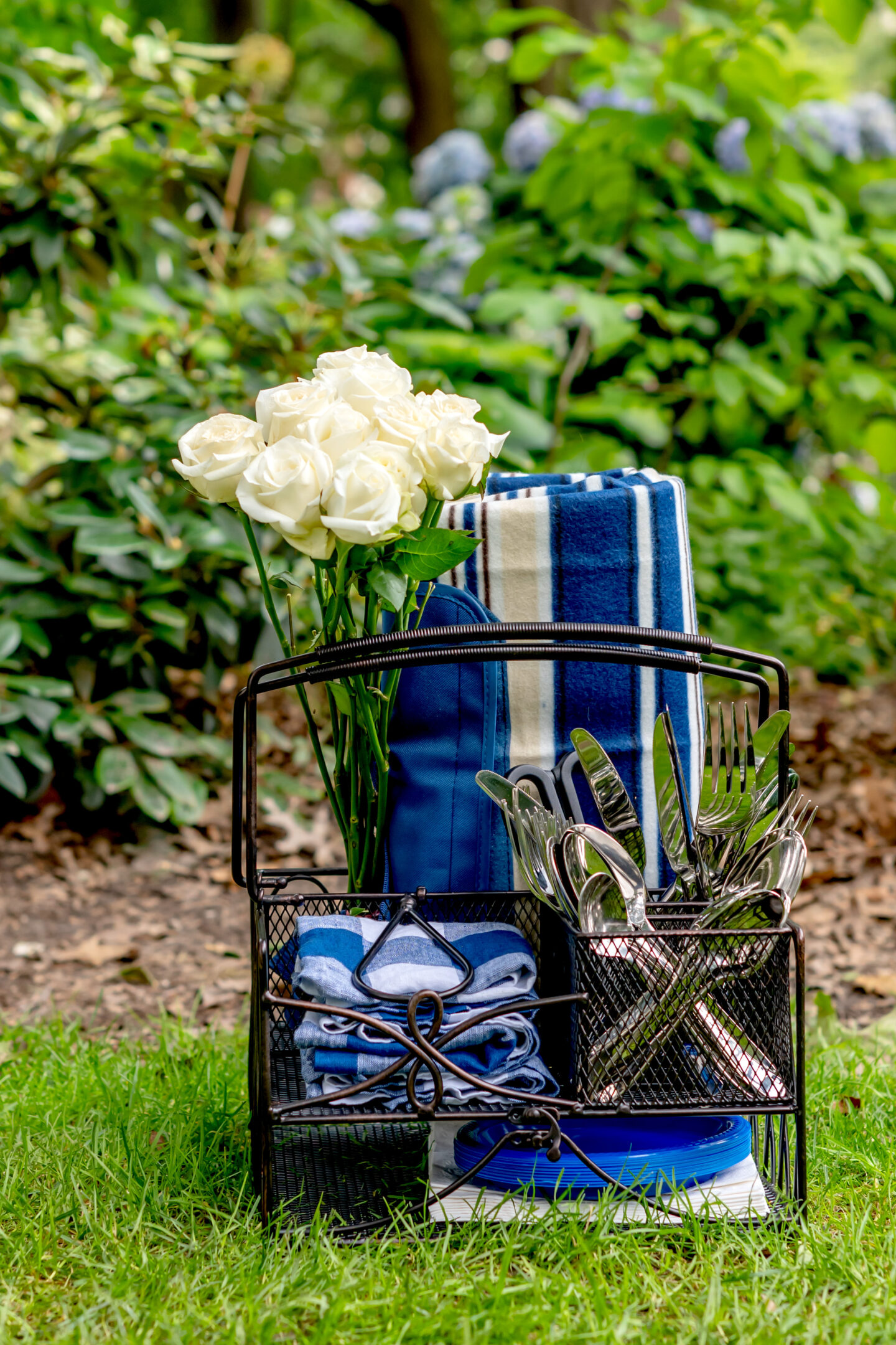 Elevate Your Summer Picnic with The 10 Best Picnic Essentials Summer Picnic.