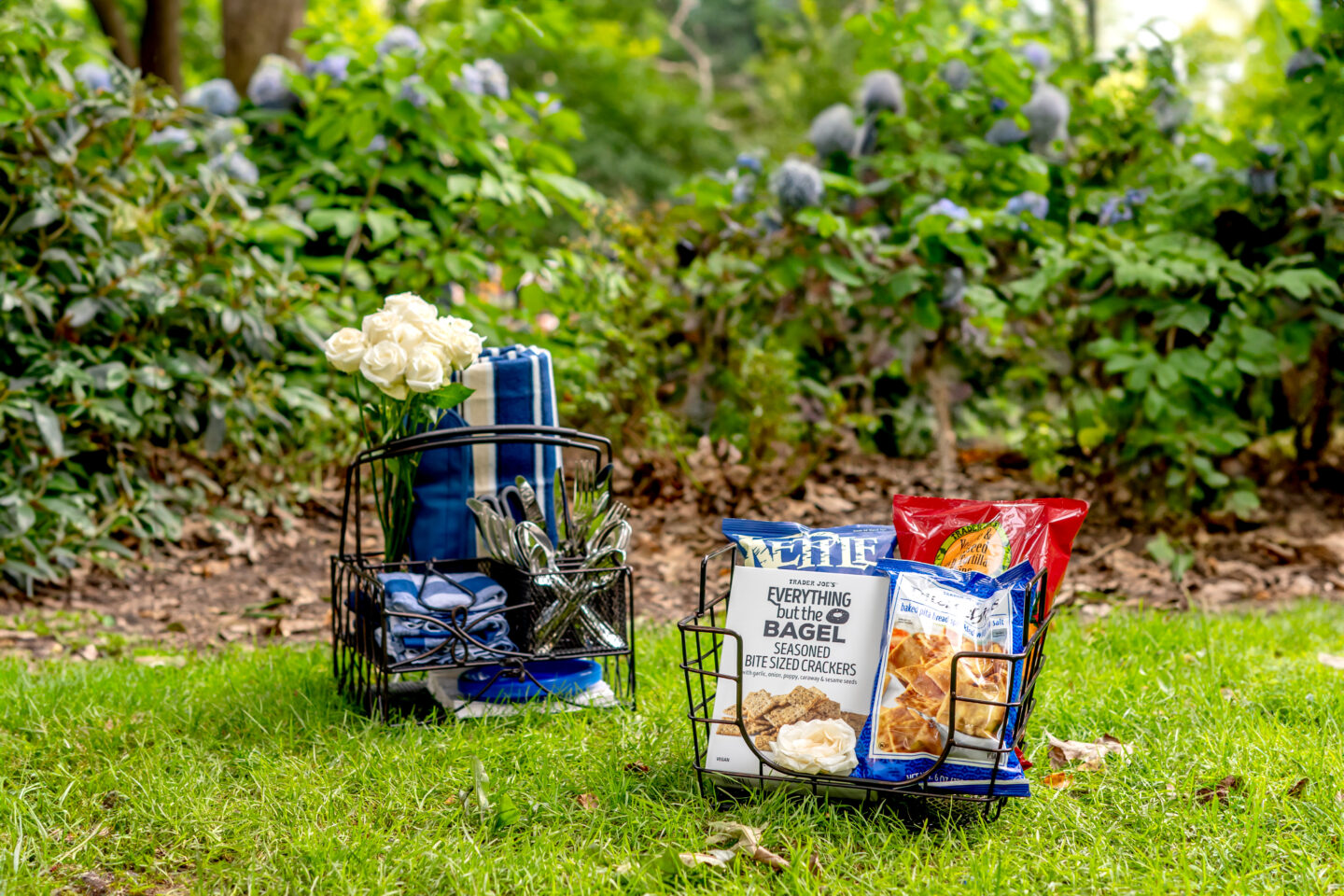 Elevate Your Summer Picnic with The 10 Best Picnic Essentials Summer Picnic.