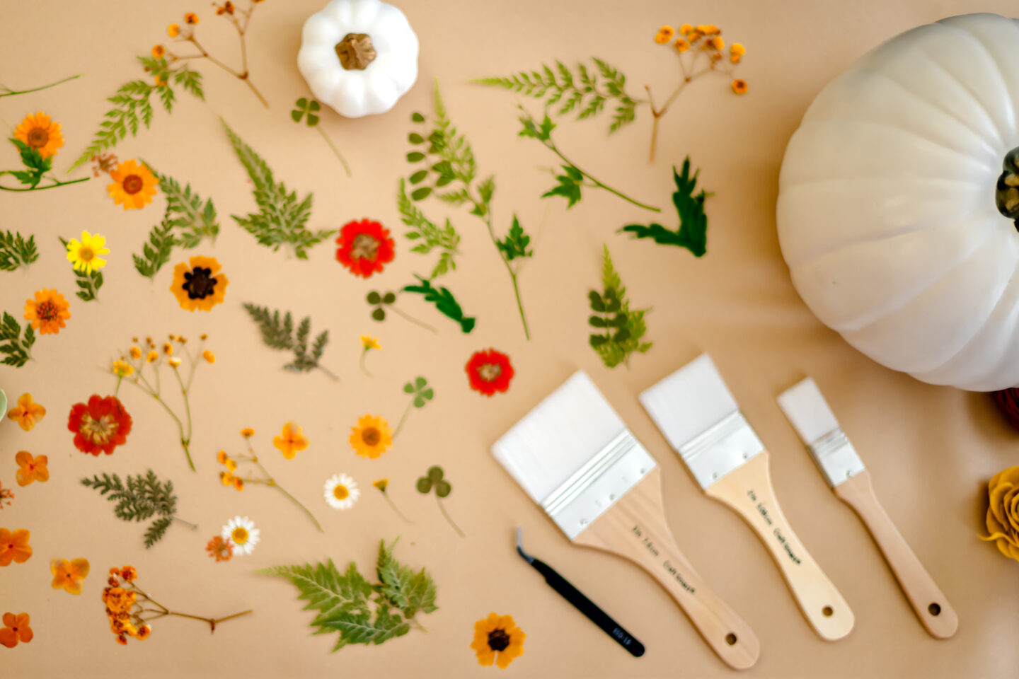 Pumpkin Painting Ideas.
